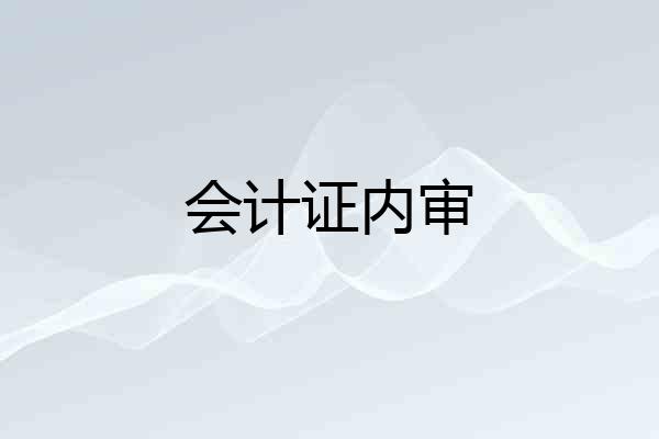 会计证内审