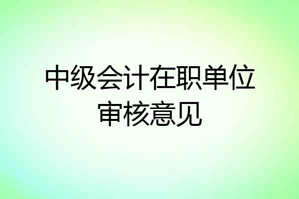 中级会计在职单位审核意见