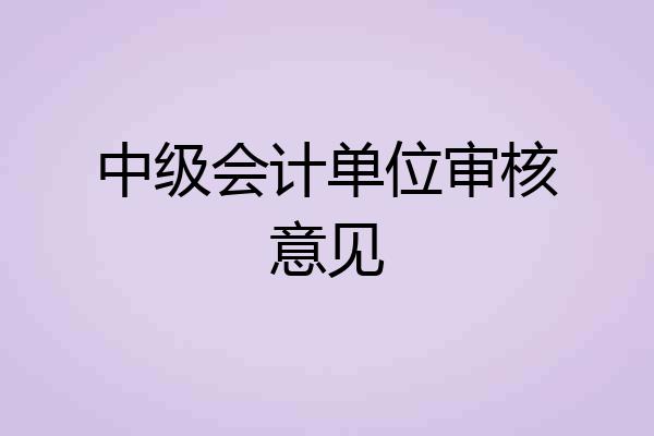 中级会计单位审核意见
