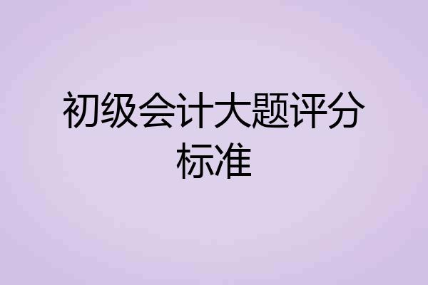 初级会计大题评分标准