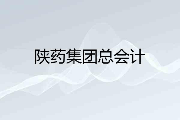 陕药集团总会计