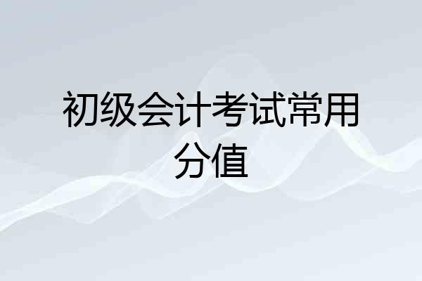 初级会计考试常用分值