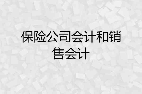 保险公司会计和销售会计