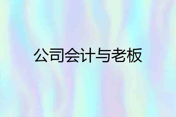 公司会计与老板