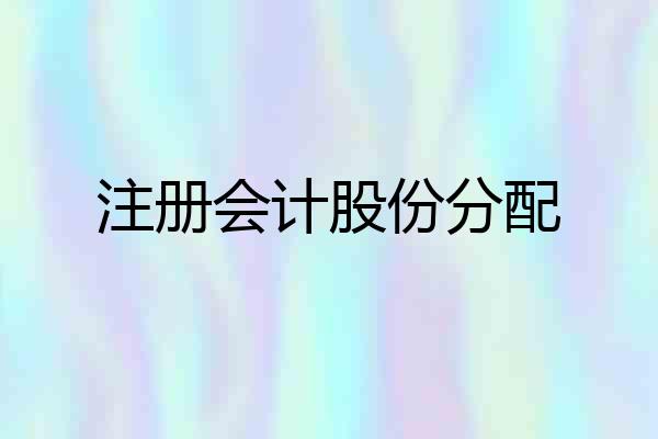 注册会计股份分配