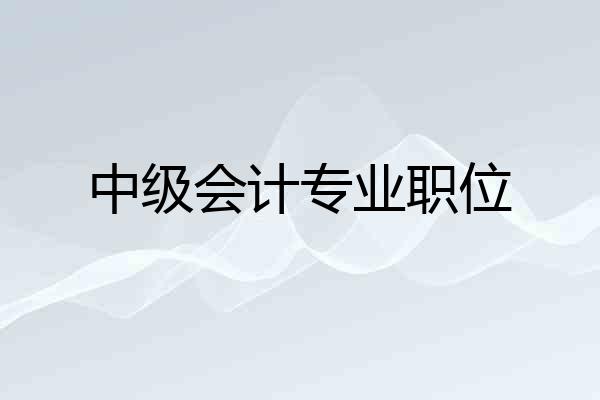 中级会计专业职位