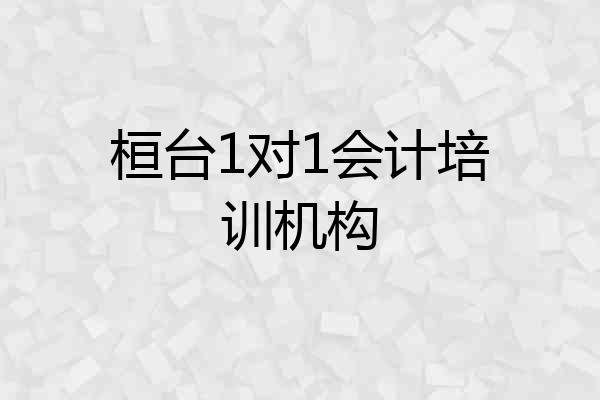桓台1对1会计培训机构