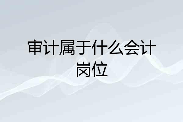 审计属于什么会计岗位