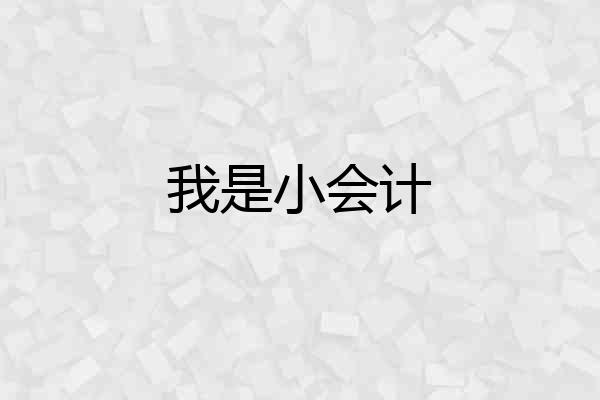 我是小会计