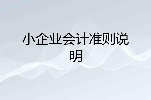小企业会计准则说明
