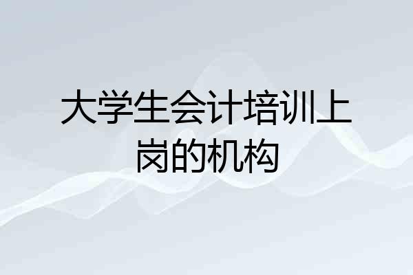 大学生会计培训上岗的机构