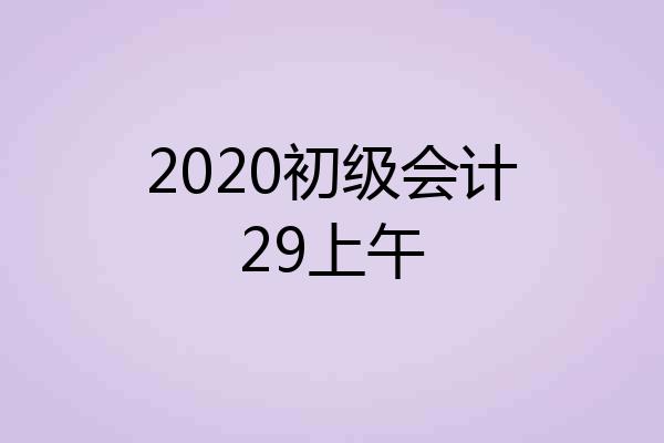 2020初级会计29上午