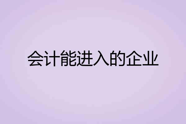 会计能进入的企业