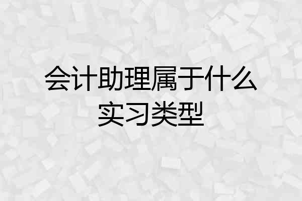 会计助理属于什么实习类型