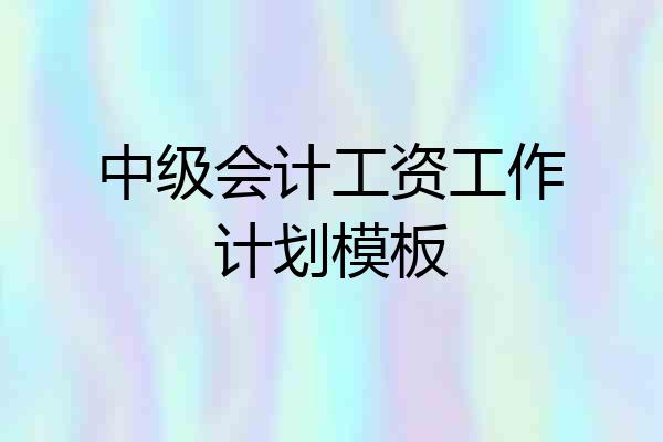 中级会计工资工作计划模板