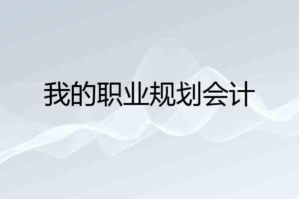 我的职业规划会计