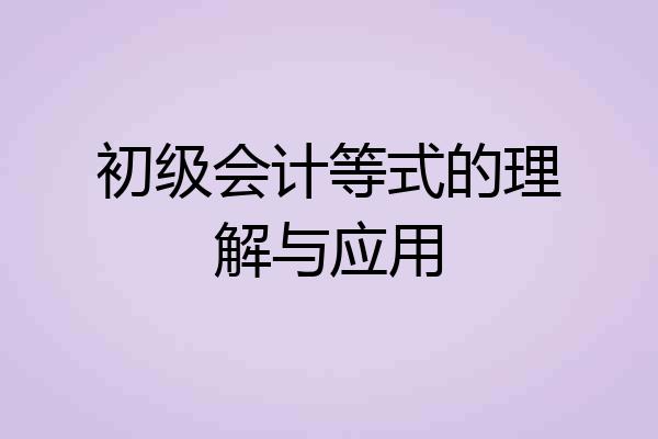 初级会计等式的理解与应用