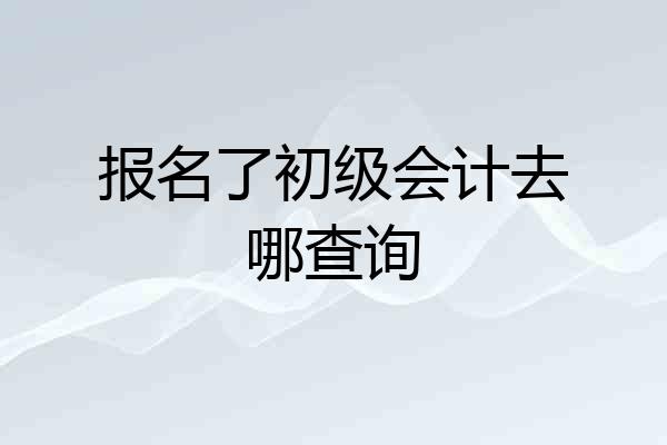 报名了初级会计去哪查询