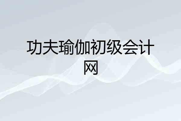 功夫瑜伽初级会计网