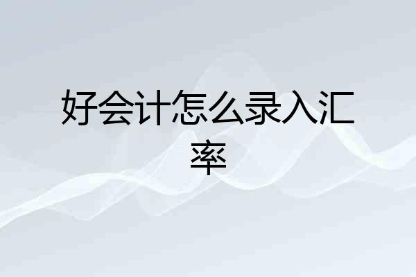 好会计怎么录入汇率