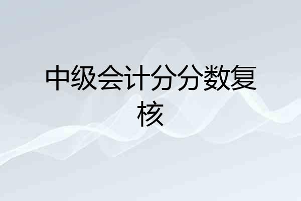 中级会计分分数复核