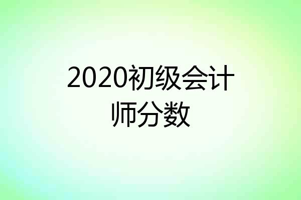 2020初级会计师分数