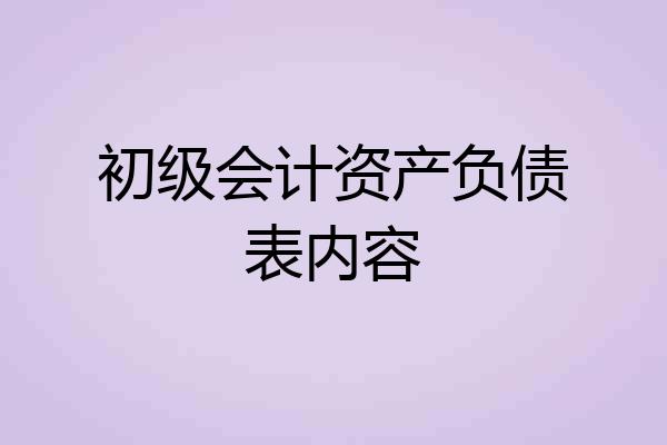 初级会计资产负债表内容