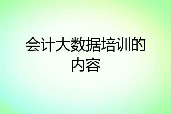 会计大数据培训的内容