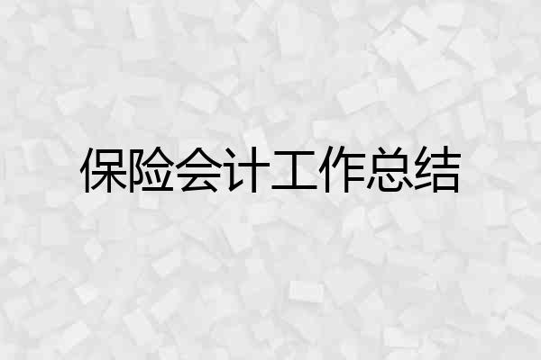 保险会计工作总结