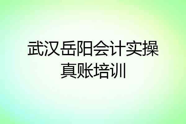 武汉岳阳会计实操真账培训