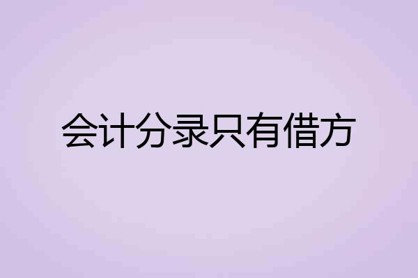 会计分录只有借方