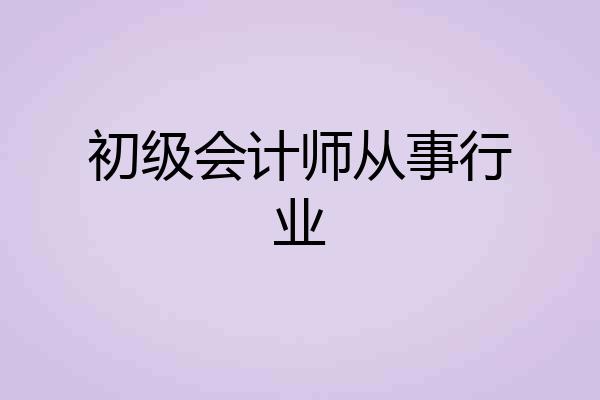 初级会计师从事行业