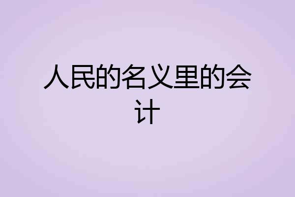 人民的名义里的会计