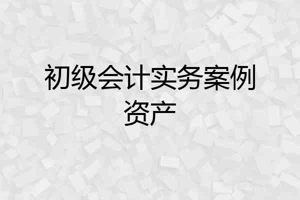 初级会计实务案例资产