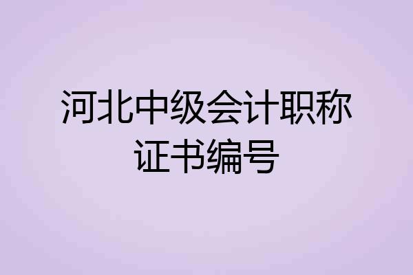 河北中级会计职称证书编号