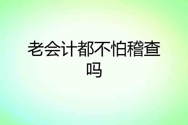 老会计都不怕稽查吗