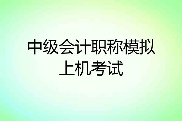 中级会计职称模拟上机考试