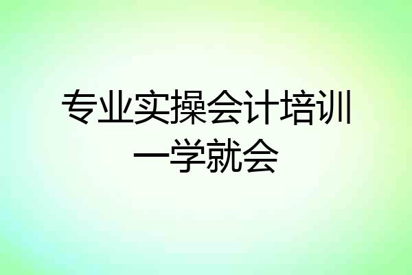 专业实操会计培训一学就会