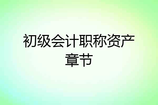 初级会计职称资产章节