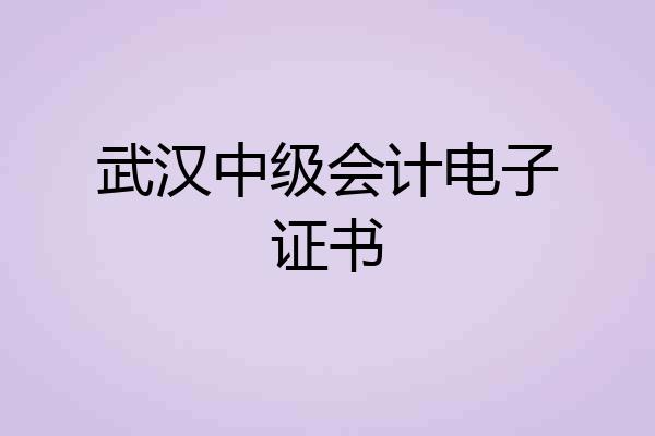 武汉中级会计电子证书