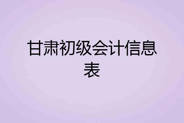 甘肃初级会计信息表