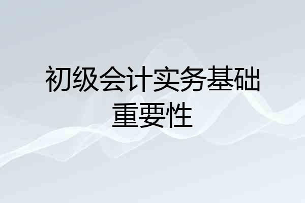 初级会计实务基础重要性