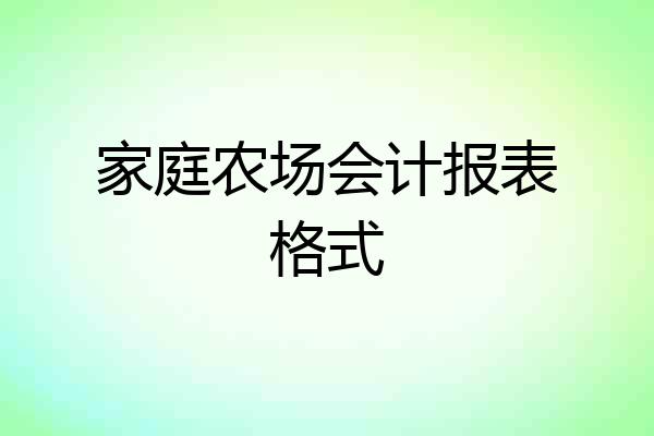 家庭农场会计报表格式