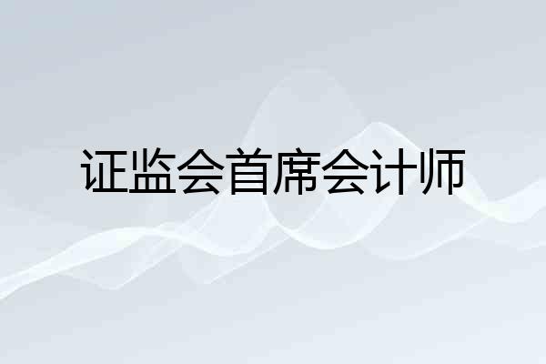 证监会首席会计师