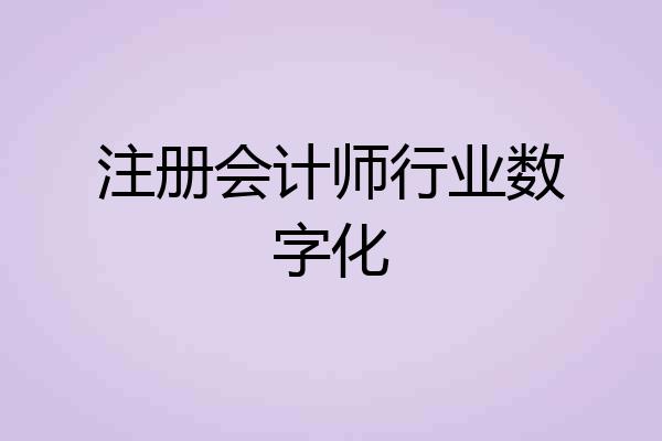 注册会计师行业数字化