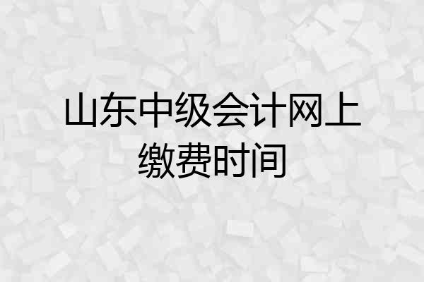 山东中级会计网上缴费时间