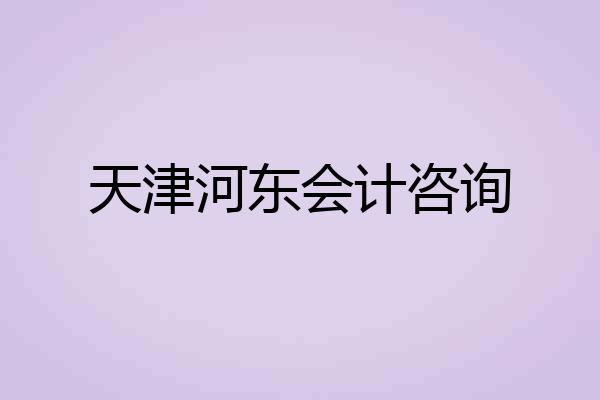 天津河东会计咨询