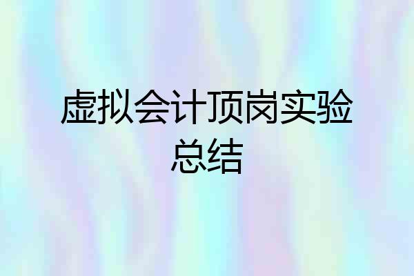 虚拟会计顶岗实验总结