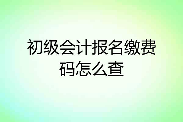 初级会计报名缴费码怎么查