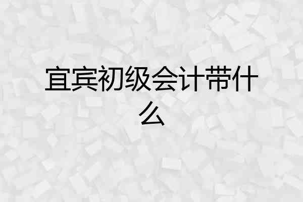 宜宾初级会计带什么